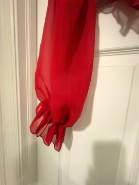 Sheer Dressy Crop top